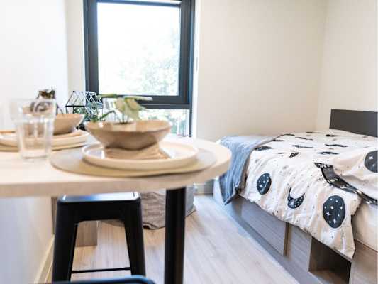 Premium Plus Studio room type